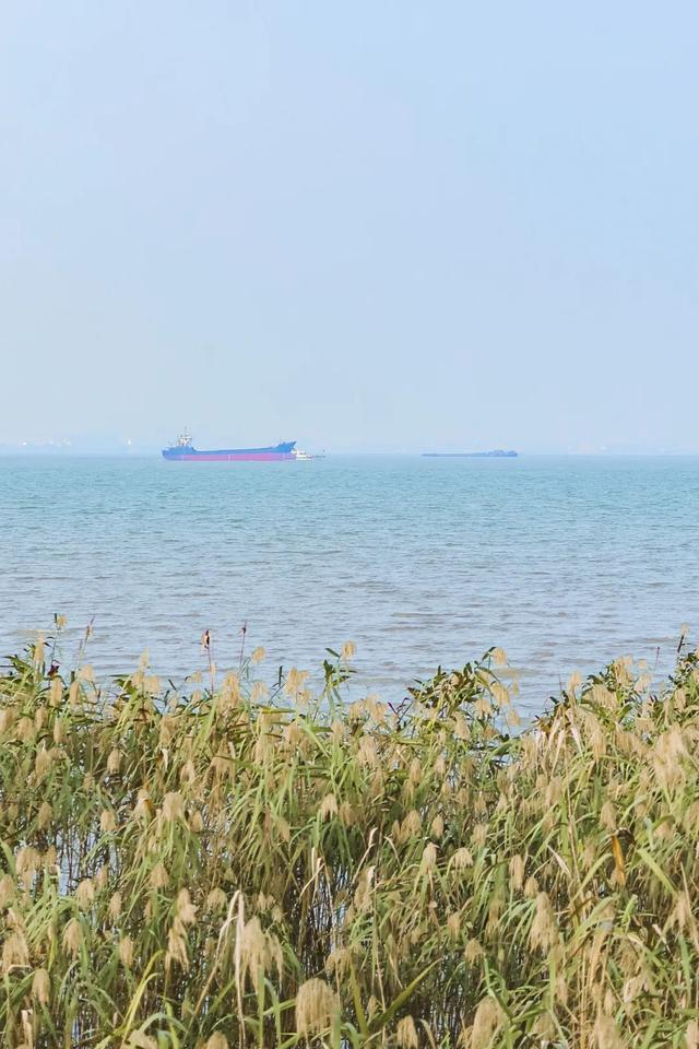 张家港很火的「线路」，后悔没早点去打卡