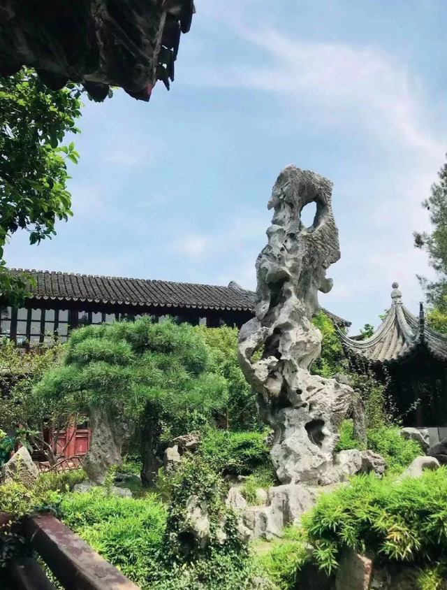 58万买“青萝卜”，众人笑他傻！有人出300万不卖，现在后悔吗？