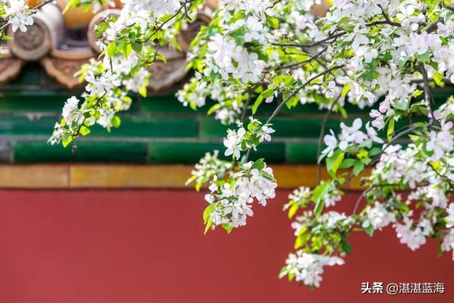 姚洋离京感言与北京到底如何？