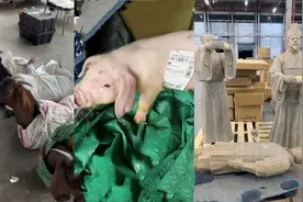 年快递量首超1500亿件！大鹅羊粪果树石墩这些你寄过吗？图片