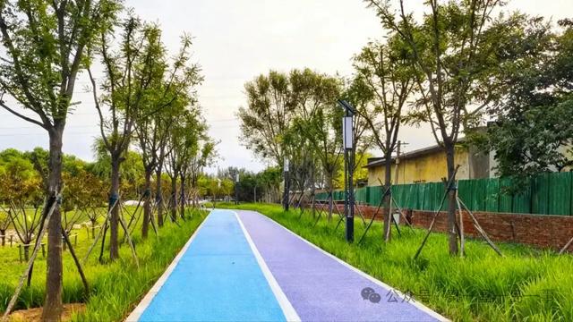 秦皇岛新增一个大型湿地公园！