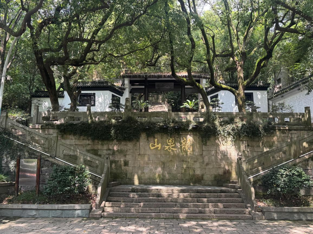 公园路面长青苔致游客滑倒，除“癣”有啥好办法？