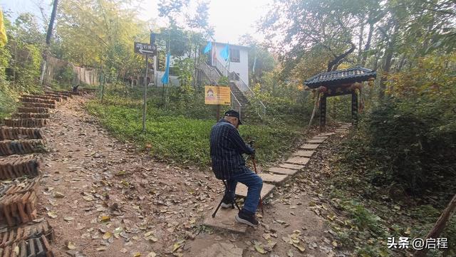赏网红银杏树，登秦岭月亮沟