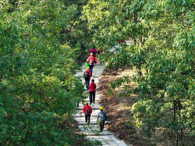 明光徒步新选择！
