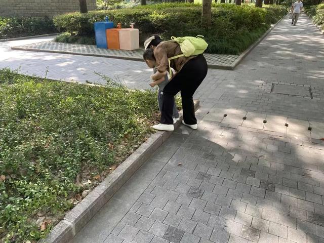 秋日赏景别“踩雷”，有3件事做不得→