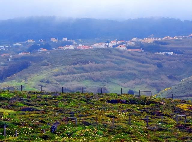 欧洲旅游：难忘葡萄牙首都里斯本行（图）