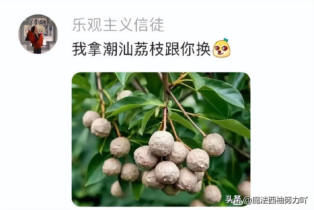 买了半只鸡，老板给切成面条了 ​