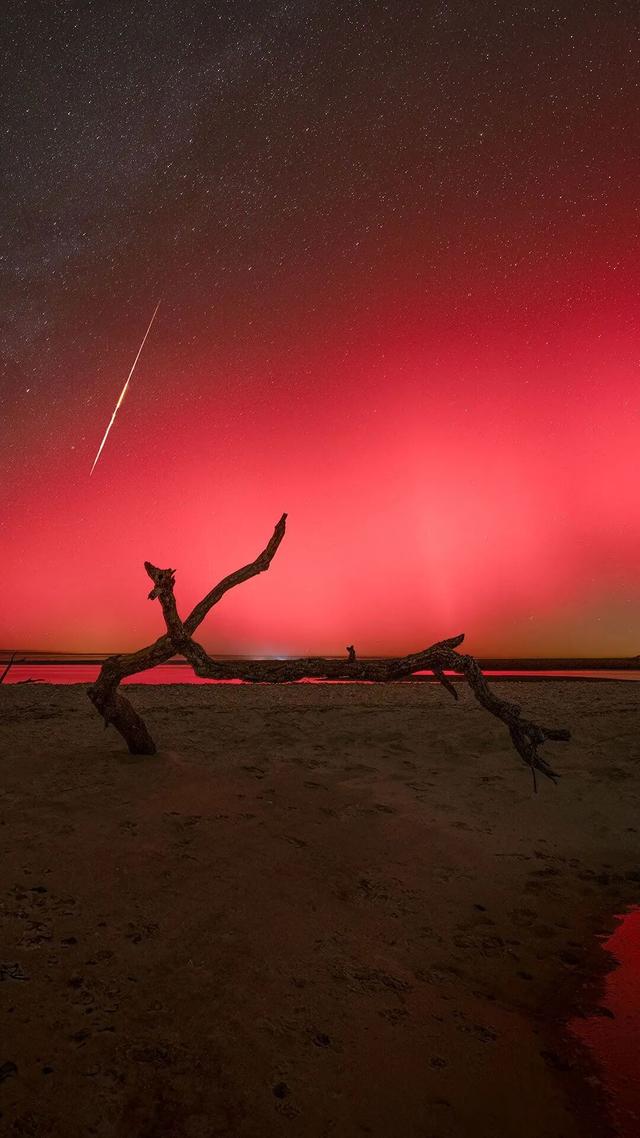 迄今世界第一大蛛网：106平米，11万只蜘蛛的家