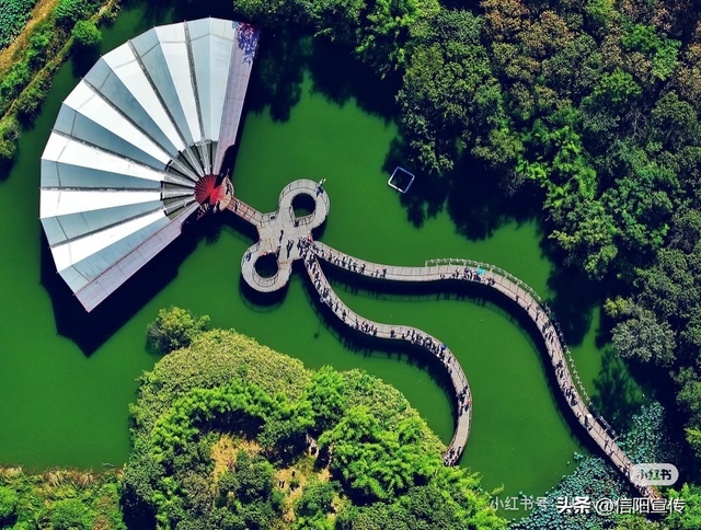 辞家千里，最念是信阳