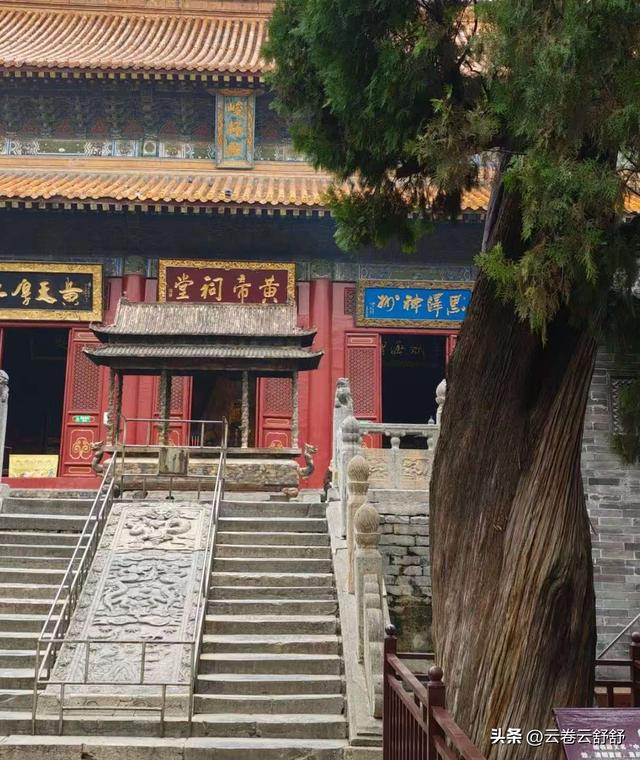 嵩阳书院的古柏