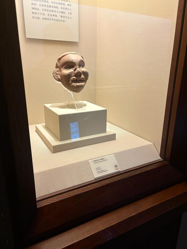 辽宁省博物馆的超详细参观体验攻略，建议收藏