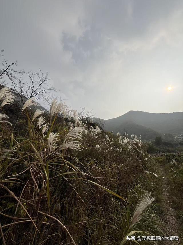 老姑峪的大寨没寻着，误打误撞跑去了张家台的麒麟寨（莱芜游）