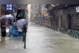 台风“桦加沙”过境海水倒灌，鱼群被冲上马路，澳门市民上街捉鱼图片