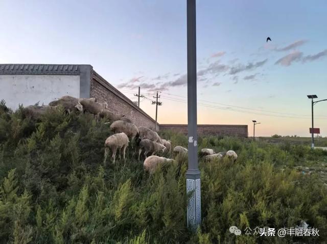 张北天路，桦皮岭的诗意之旅｜闫建国