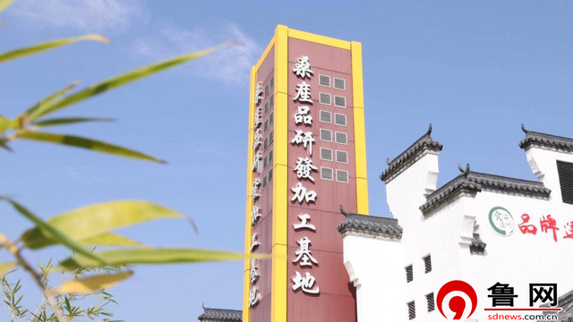 沿着黄河遇见海｜采访团走进夏津黄河故道国家森林公园：科技赋能让千年古桑资源“活”起来