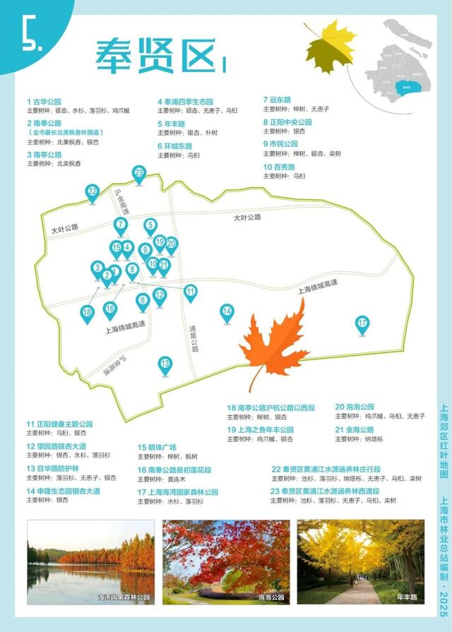 解锁2025上海郊区红叶地图，一起走进申城的五彩世界！
