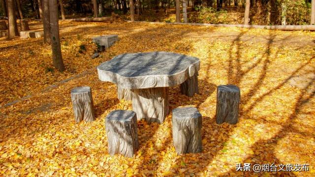 【乐游烟台】低头捡个秋！我收藏了整个烟台的秋天