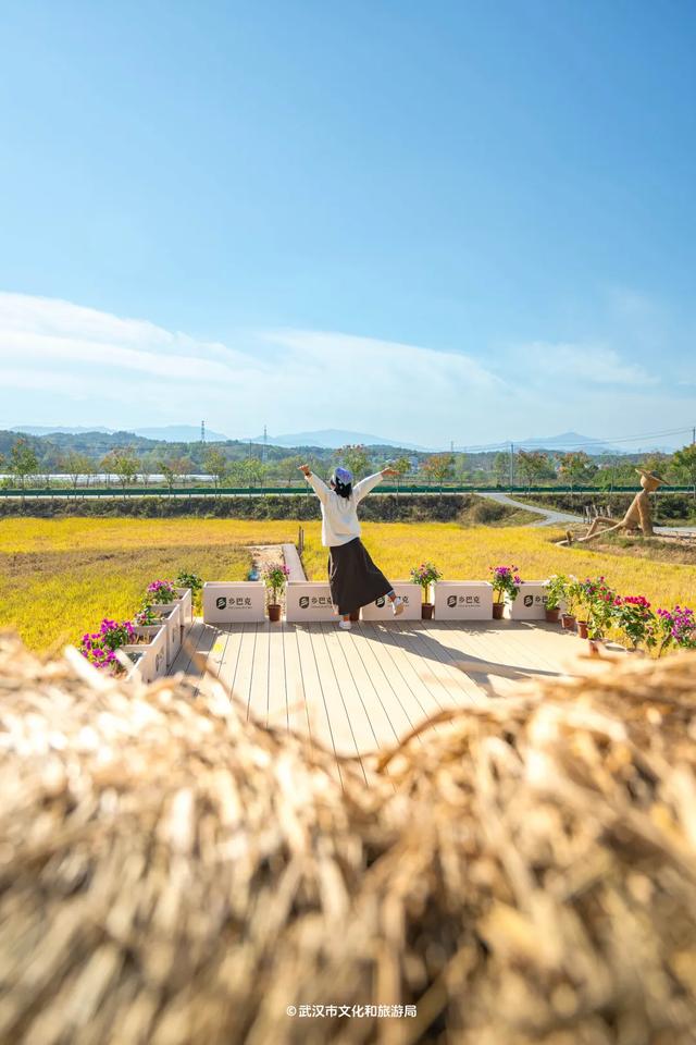 会玩的武汉人,都回村过秋天了