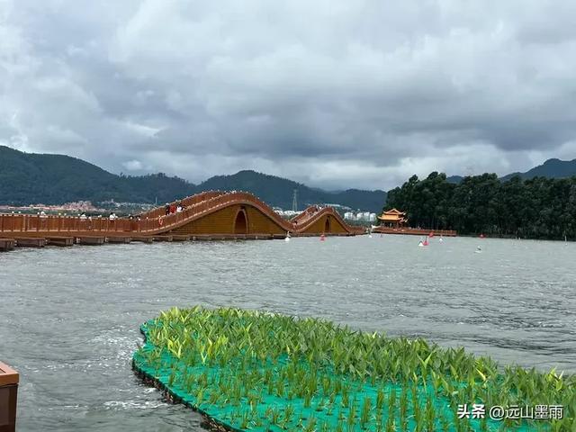 假日徒步，走昆明滇池草海之开合浮桥、雨中打卡新晋网红地，休闲