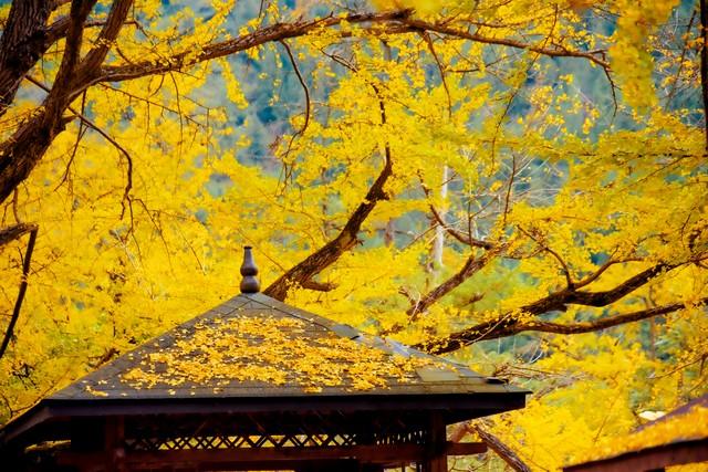 为什么说贵州是“中国最宝藏的省份”？看完这九大市州我服了