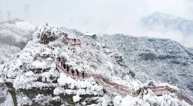 信息量拉爆了！我就说你没见过这么全的元旦攻略吧！