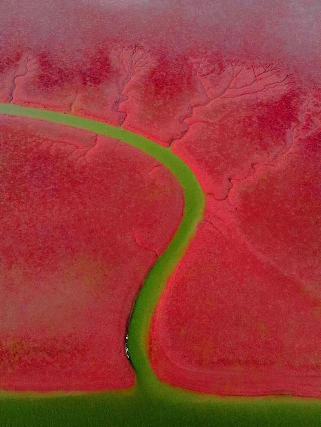 董宇辉向世界推荐，“请花几天时间去山东”！