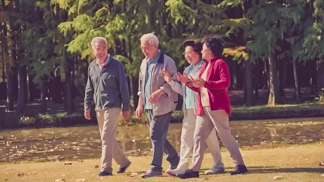 今日爆款文章：《给60岁以上人的9项忠告》