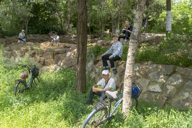 辽宁沈阳：有一处集休闲、娱乐、文化于一体的大型公园