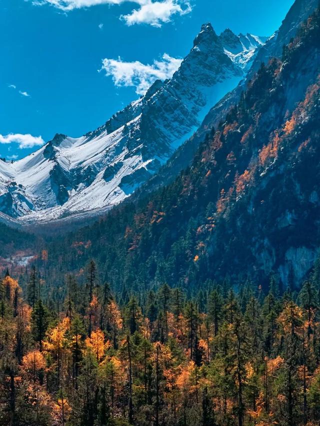 正式通车！全线免费！新挖赏秋天花板小城，绝美彩林不输九寨！地道美食50元吃爽！