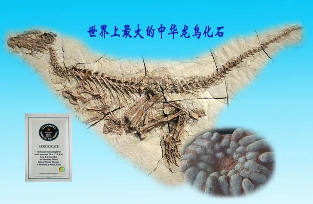 文旅临沂提醒！2026年免费、优惠福利来了！！