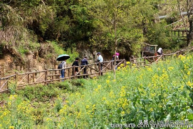 婺源篁岭旅游札记[三]（江西之旅第四十五篇）