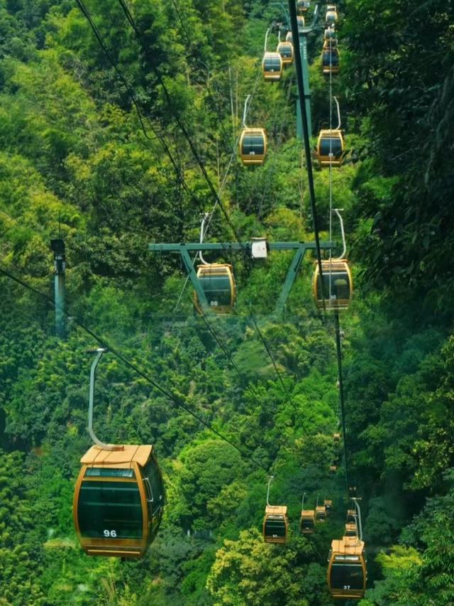 去了趟四川宜宾，真心建议：别随便来宜宾，除非你看完这篇