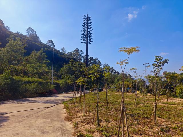 塘朗山郊野公园[绿平二路入口]骑行爬坡好地方