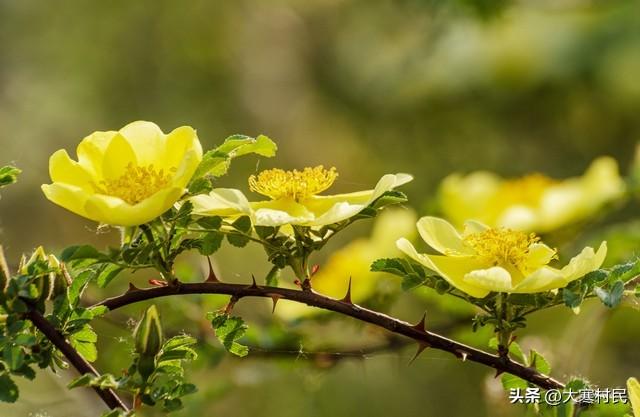 趁着火焰的放肆与热情