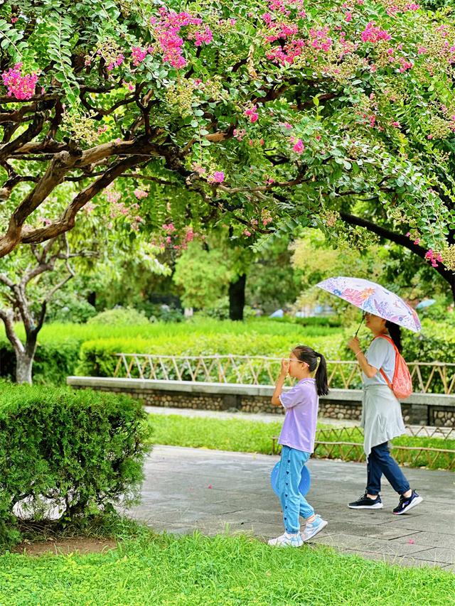 雨霁岱庙景如画 游人畅享清凉意