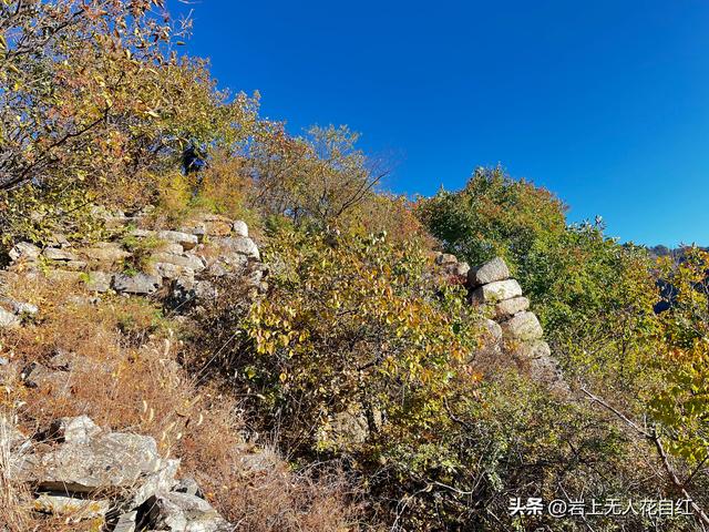 长城徒步之94：密云烧香峪、五虎门、黑谷关长城秋色