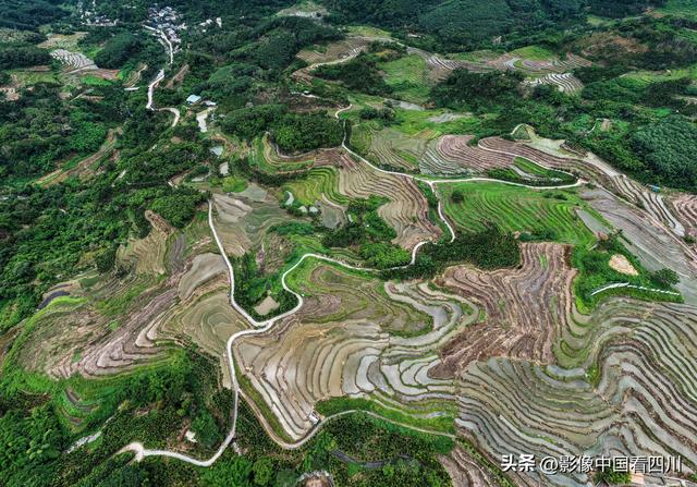 海南五指山：夏日牙胡梯田