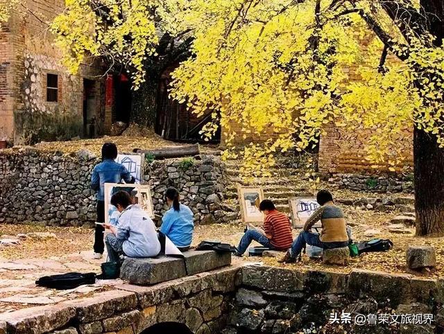 南方四境藏金秋：四大银杏秘境的温柔时光