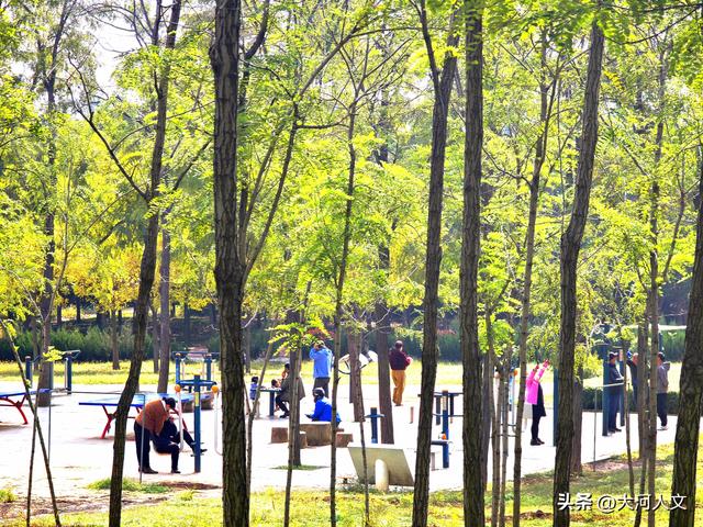 焦作生态植物园：限定浪漫，只有秋日