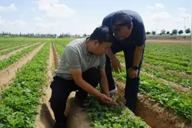 榆林：凝心聚力抗旱保障民生图片