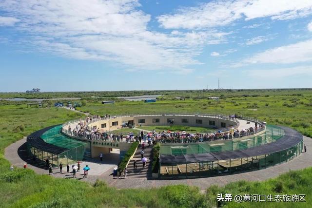 【黄河口生态旅游区】秋日出游全攻略 赏“大自然的调色盘”