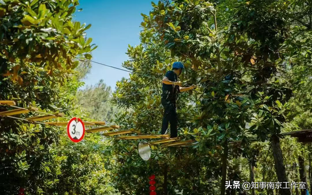 在高淳，我找到了快慢平衡的生存密码