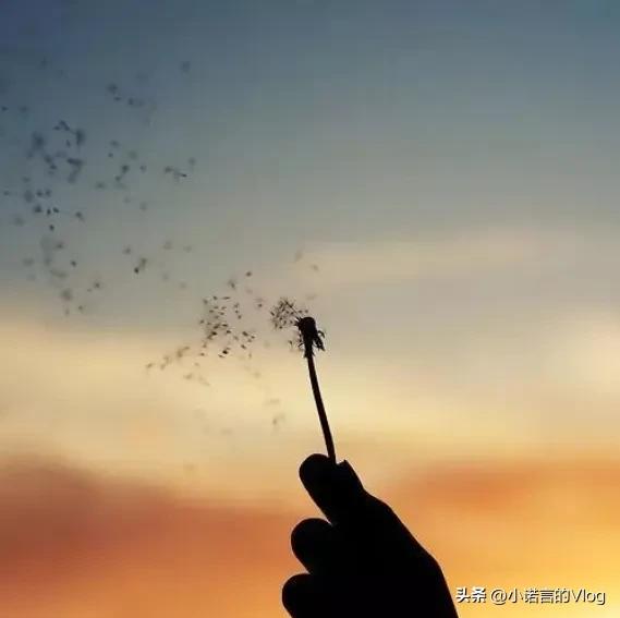 梦到去世的亲人、朋友,多半是这三种暗示