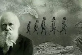 深度长文：人类是猿进化来的，为什么再也没有别的猿进化成人类？图片