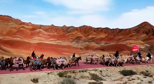 高接远迎丝路东行的33个驼峰，洛阳民间的自发行动