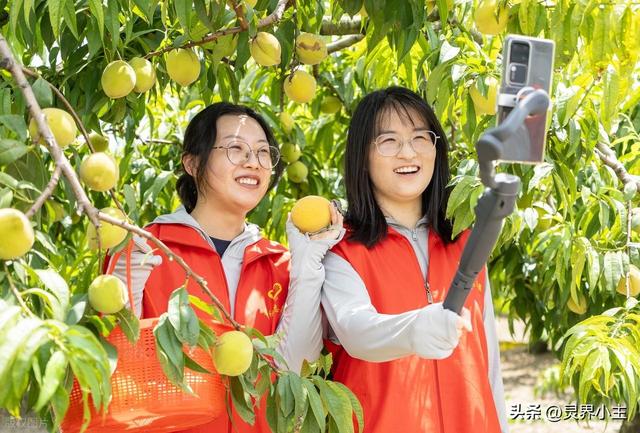 抖音新规：剑指低俗乱象，守护网络清朗