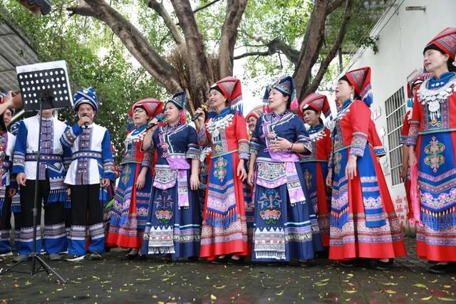 【实干开新局 聚力促发展】荷香引客来，消费人气旺——柳江区暑期文化旅游市场“热”力十足