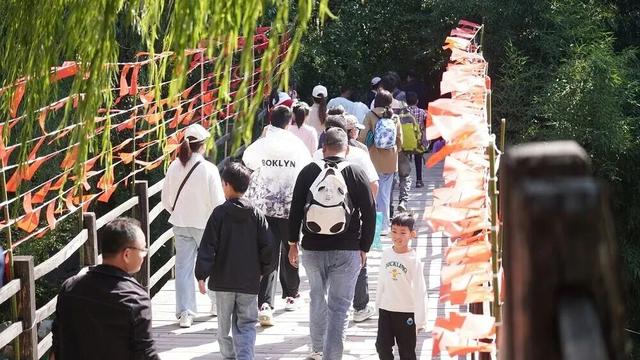 马上来“临” “沂”起过年｜爬一座沂蒙的山