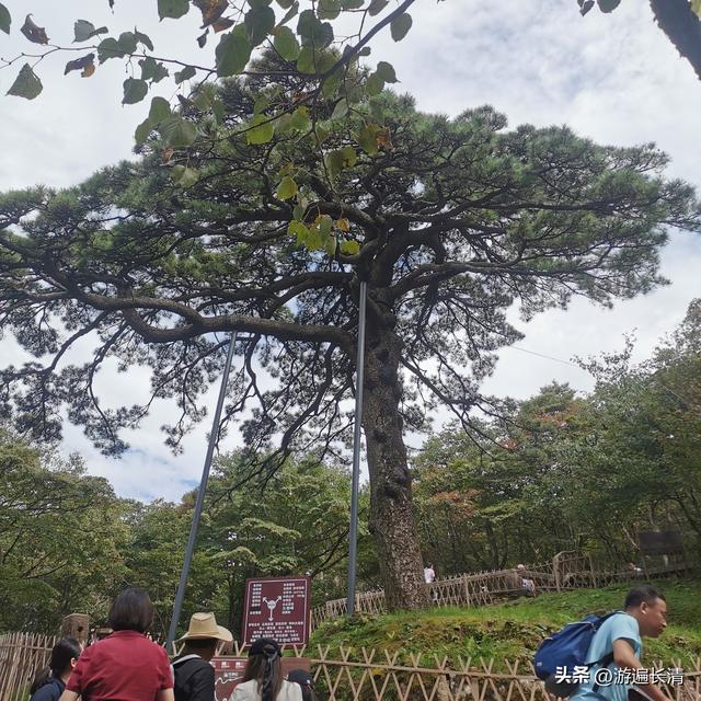 &062.黄山四日游（一）