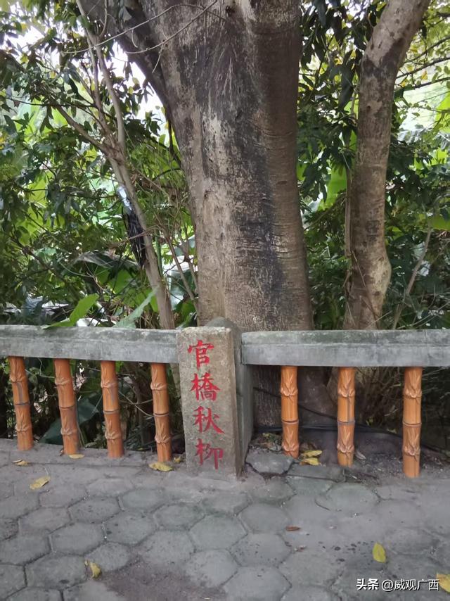 威观广西：桂平西山门票什么时候能够免费或者降价？